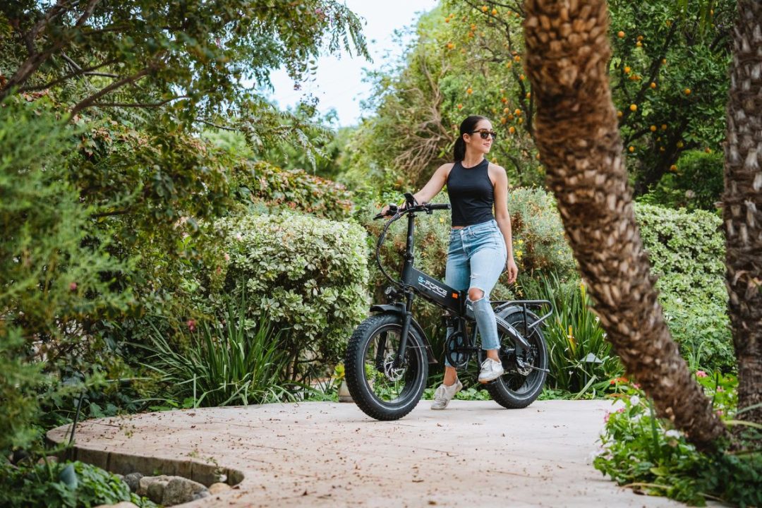 Marché des moteurs de vélo électrique en 2025