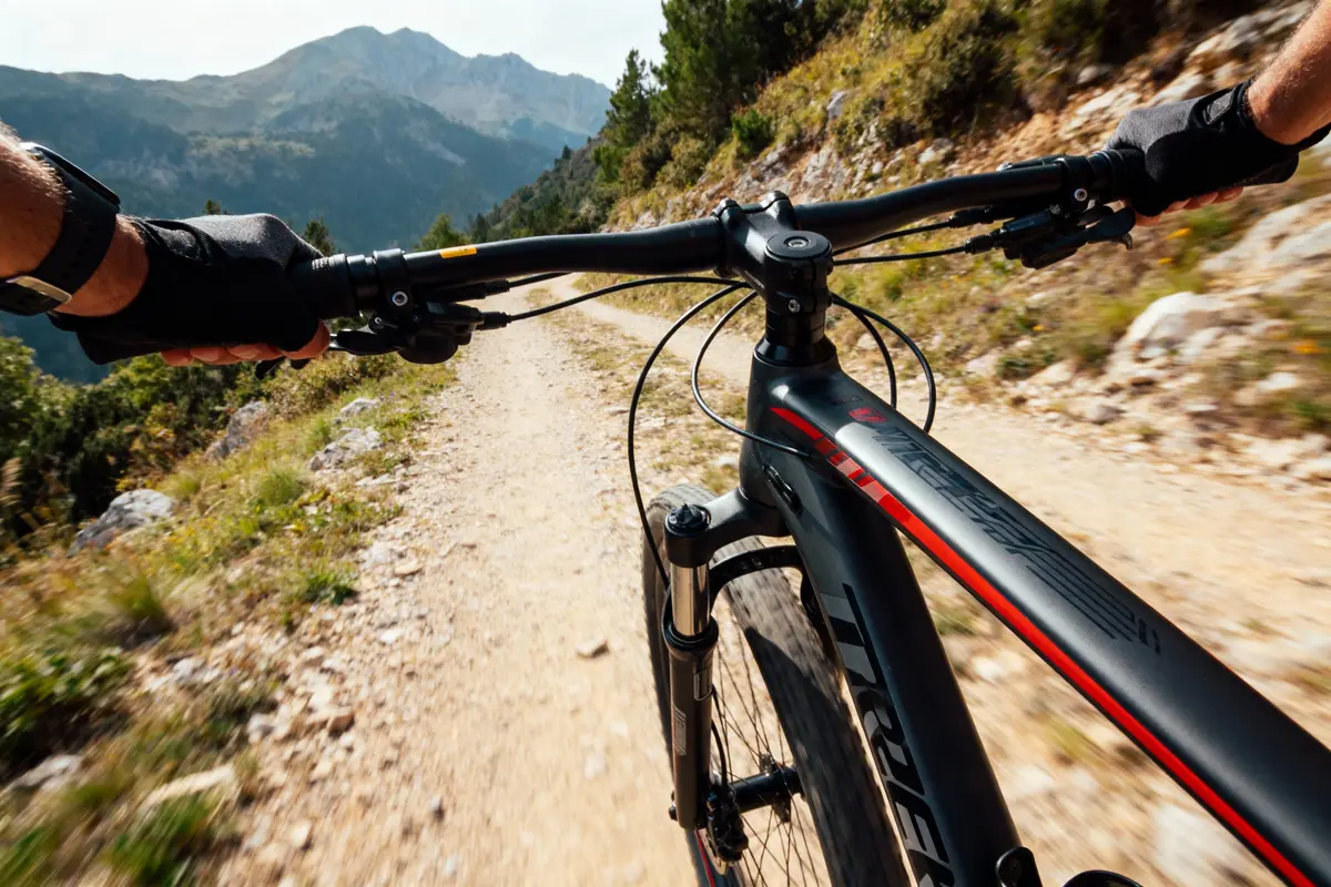 Cycliste tenant le guidon d'un VTT sur un sentier de montagne ensoleillé, entouré de végétation et montagnes.