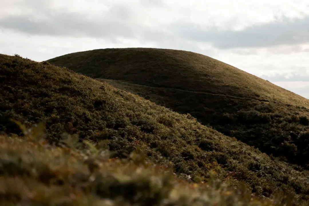 Colline verdoyante avec végétation dense sous un ciel nuageux, lumière douce créant des ombres subtiles.