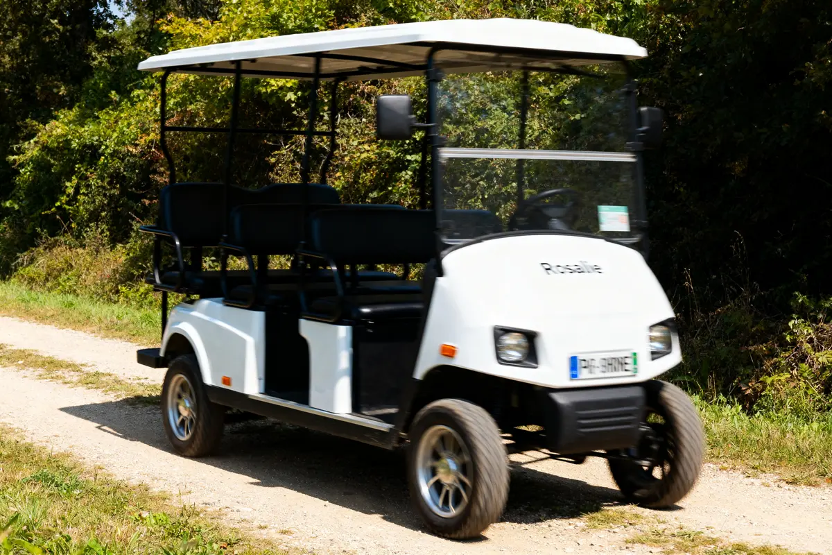Véhicule électrique de type Rosalie vélo sur chemin rural entouré de verdure