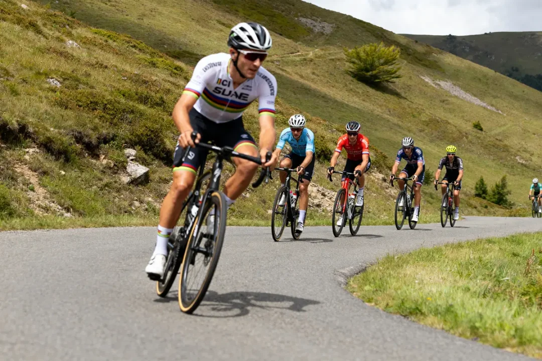 Cyclistes en compétition dans une étape du jour sur route de montagne verdoyante