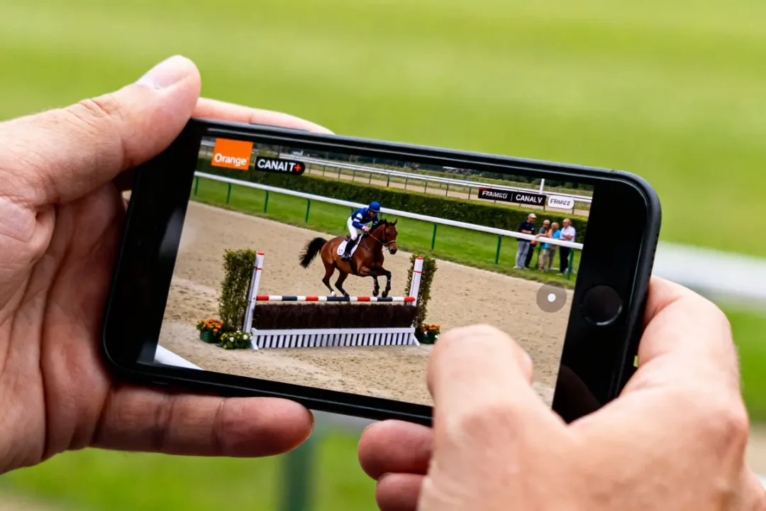 Personne regardant un concours hippique sur mobile via Equidia en replay sur Canal+